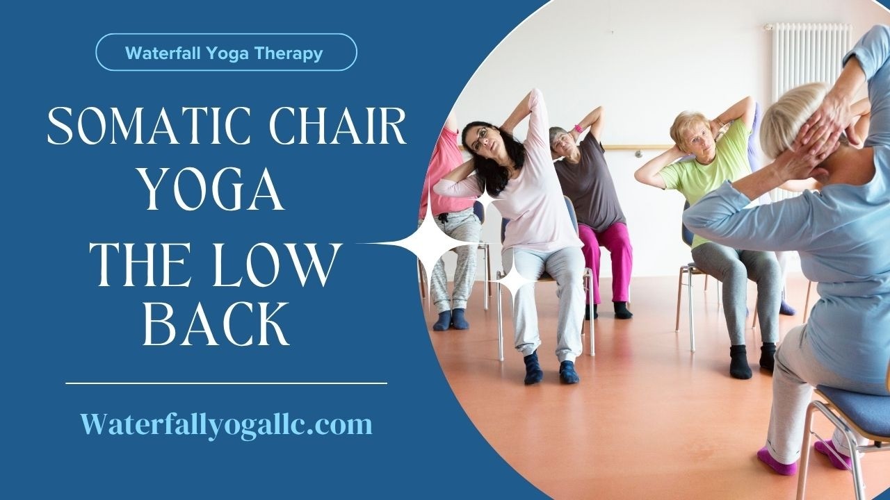 Chair Yoga Somatics for Low Back Pain
