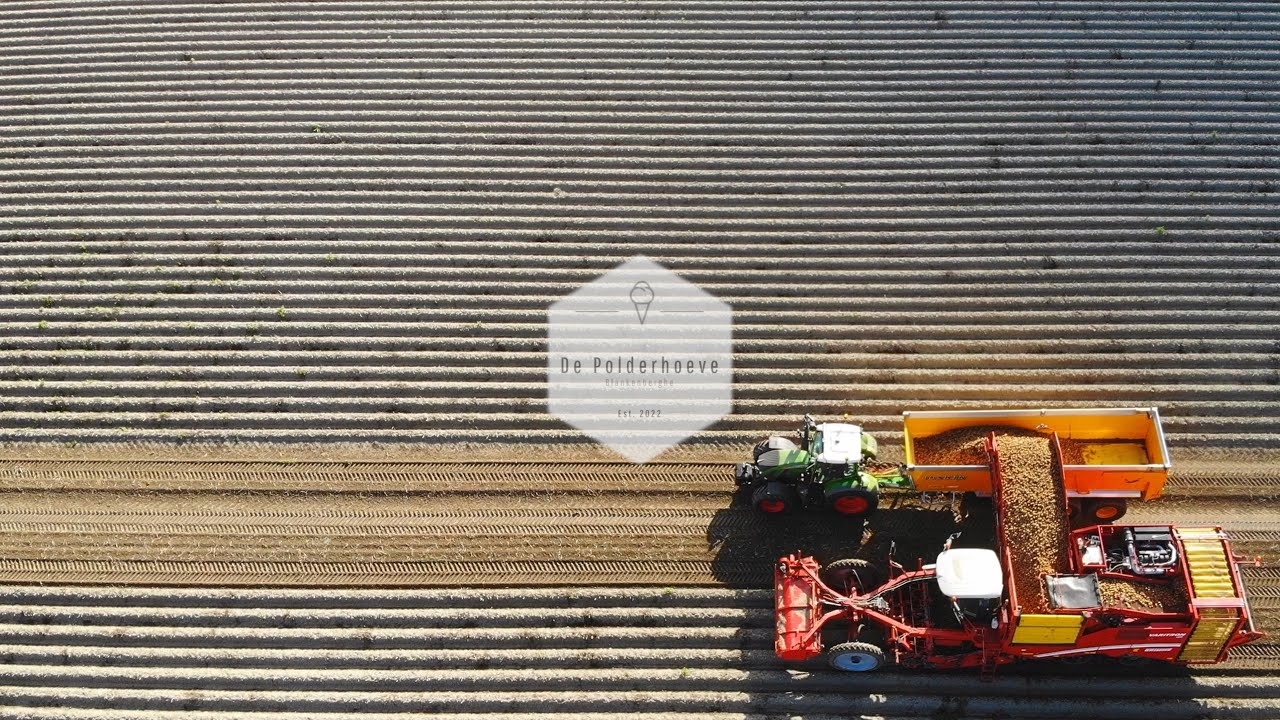 De Polderhoeve Aardappelen | Farm - Potatoes 4K