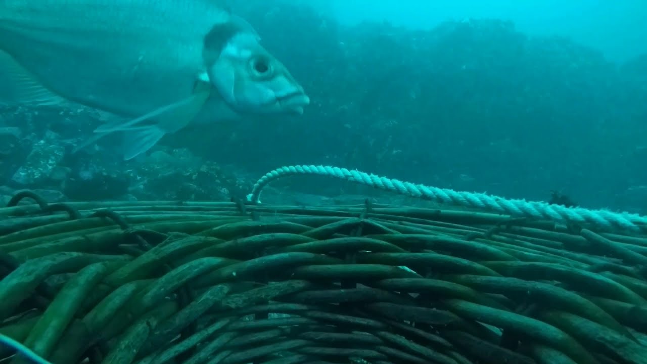 GOPRO FOOTAGE.  DIFFERENT TYPES OF CRAY BOTTOM.