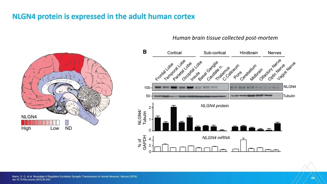 Bridging Gaps in CNS Disorders: The Power of Human Stem Cell Models