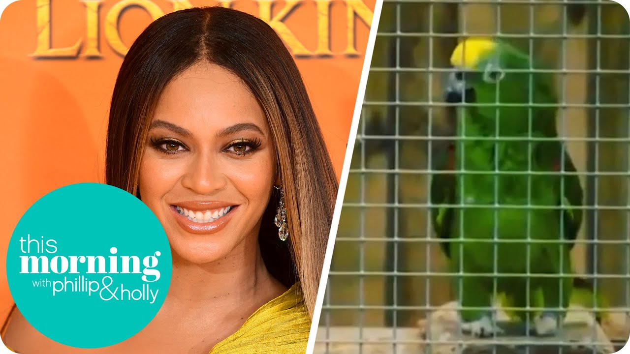 Meet the Parrot That Can Belt Out Beyonce | This Morning