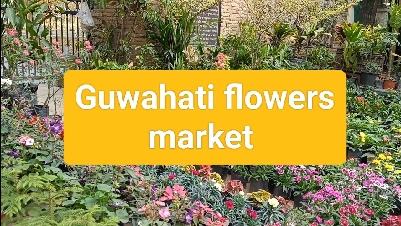Guwahati famous flowers market 