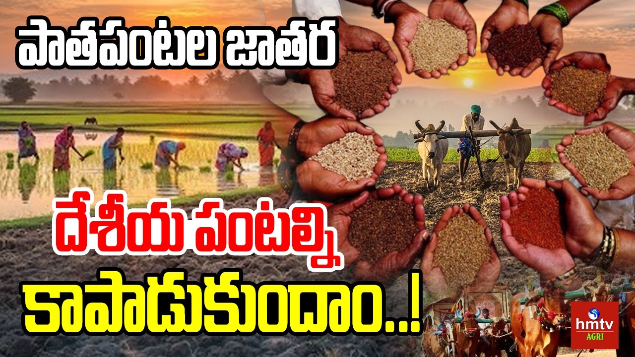 పాతపంటల జాతర | Seed Expo in Zaheerabad | Agriculture Telugu | hmtv Agri