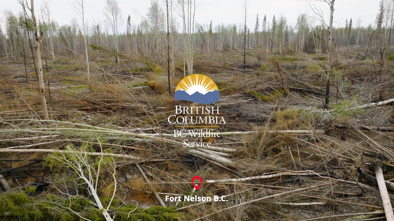Blow down and drought conditions in the Fort Nelson Fire Zone