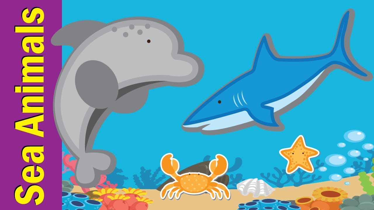 Learn Sea Animals & Water Animals for Kids | Video Flash Cards | Kindergarten | Fun Kids English