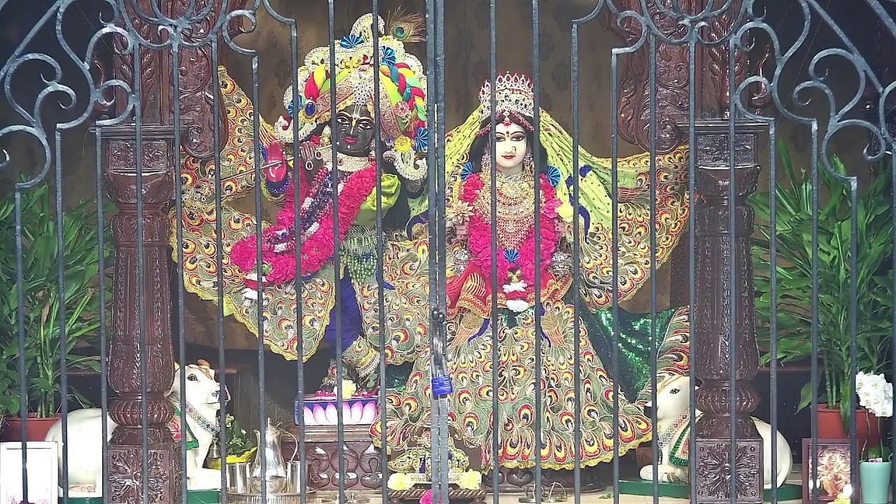 Morning Darshan