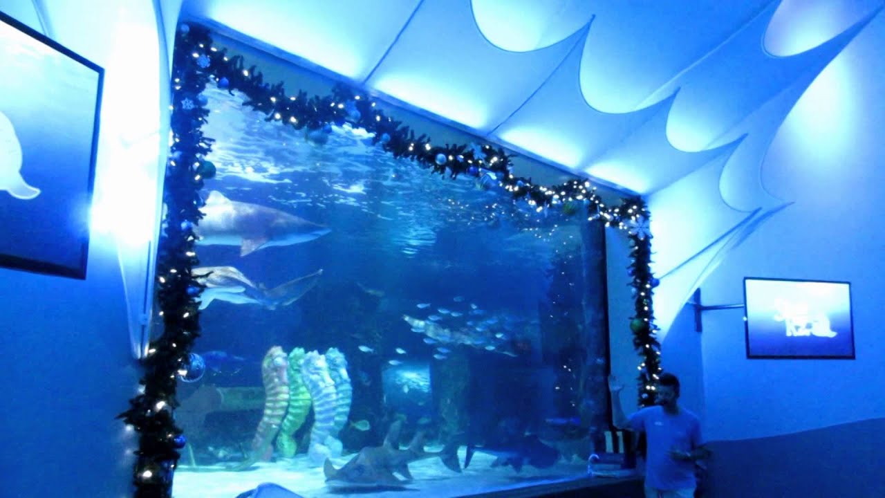 20141130 to 1206 SANTA'S IN A SHARK TANK!