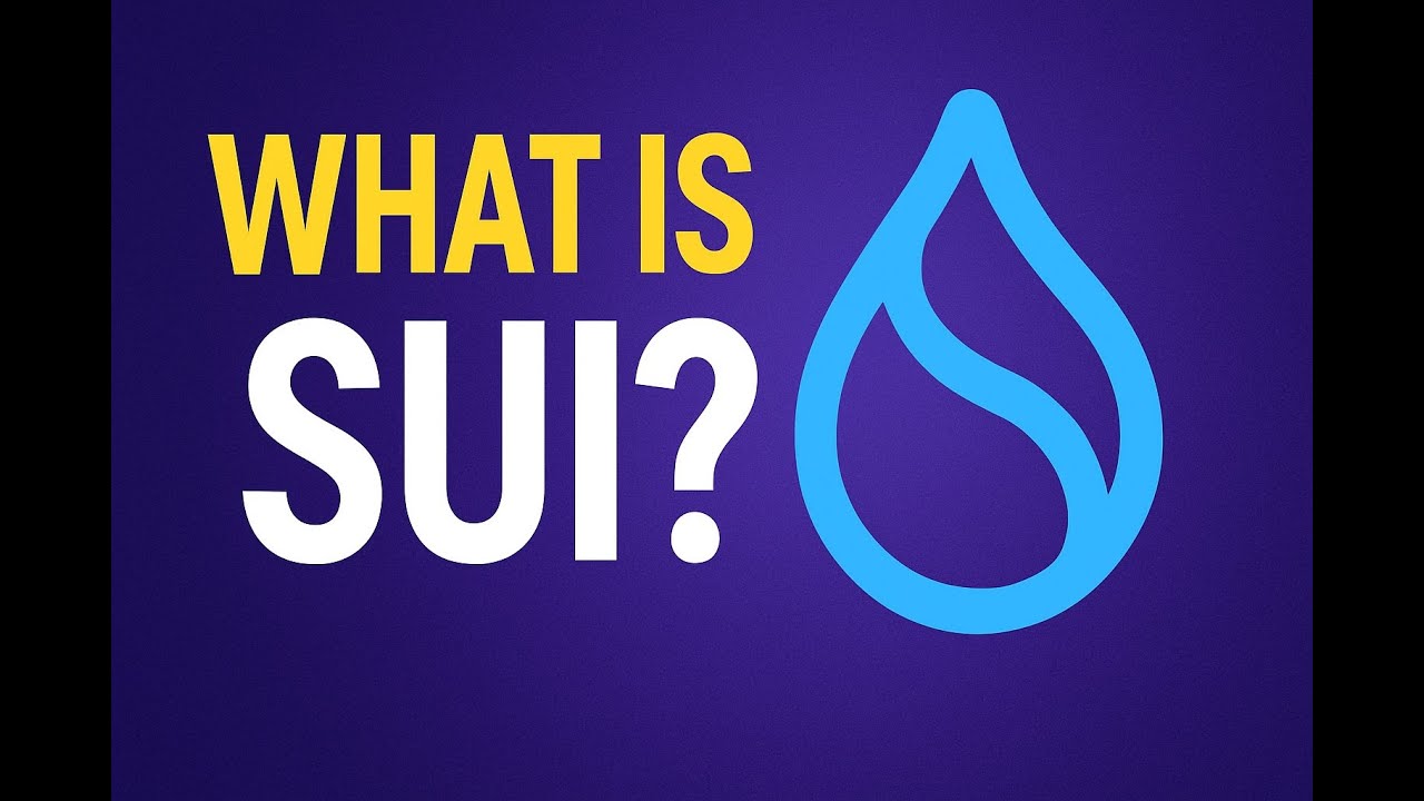 What is SUI? Hidden GEM or HYPE? mp4