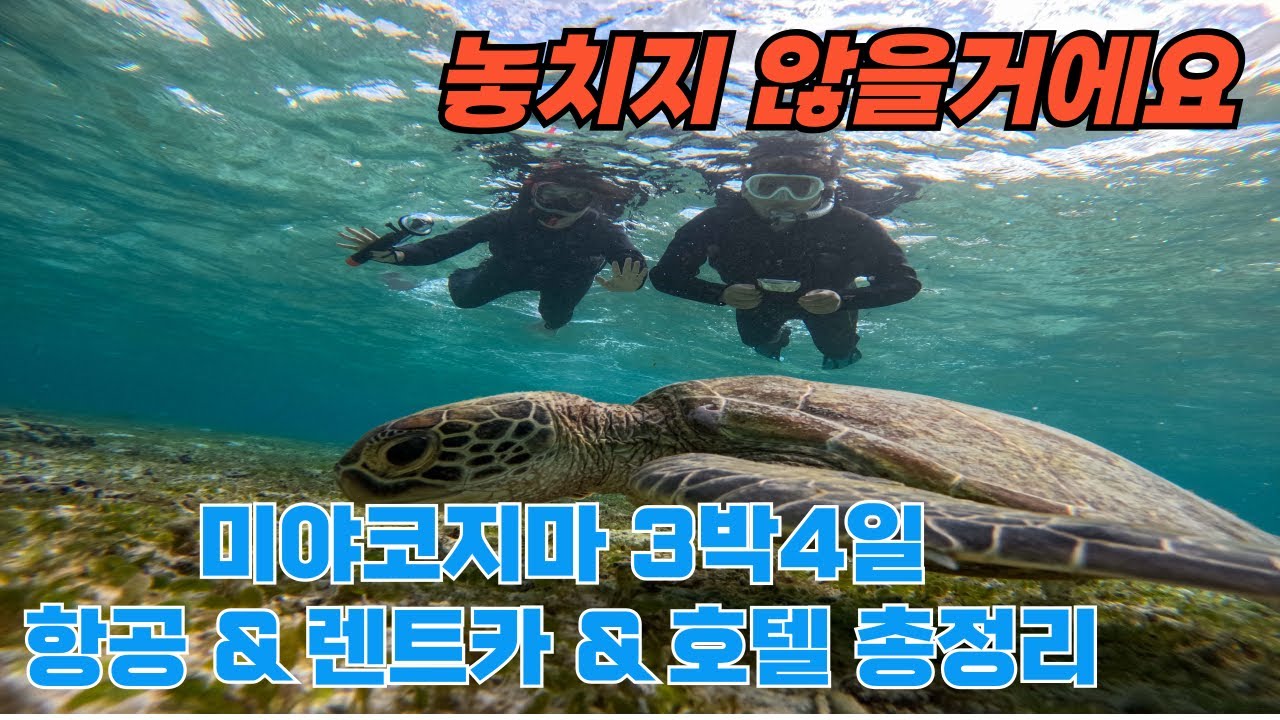 🇯🇵 일본 미야코지마 여행 코스 겨울은 어때? 거북이 스노쿨링 진에어 LJ357 탑승기 30분 몰아보기 🏝️