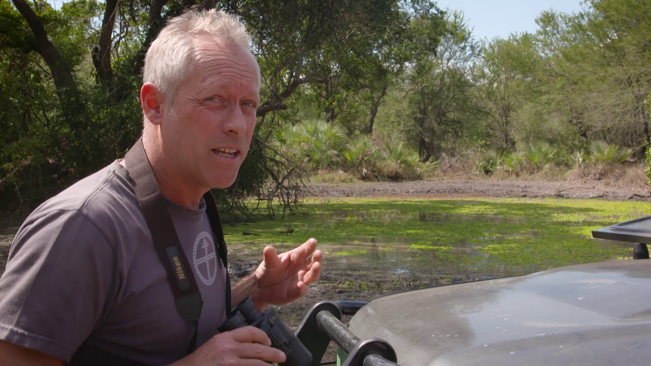 Explore TV - Gorongosa Wildlife