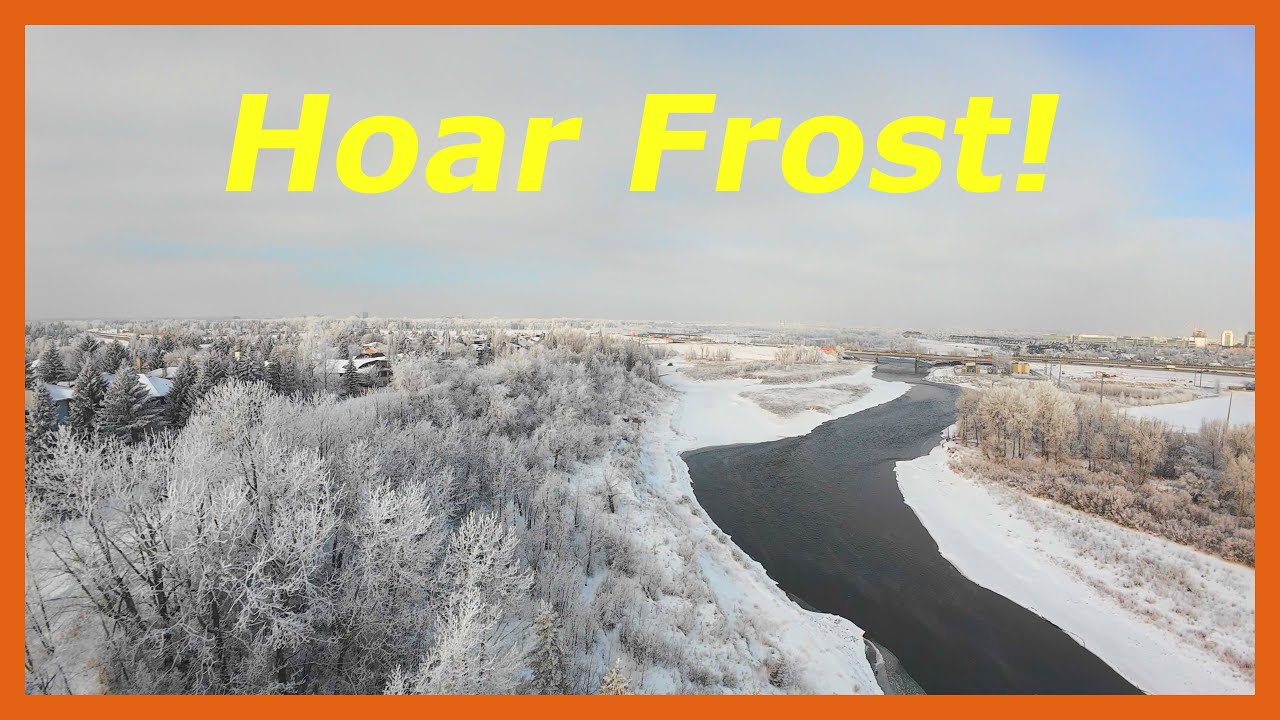 Blanket of Frost! ❄️🥶🌲 #calgary #frost #dji