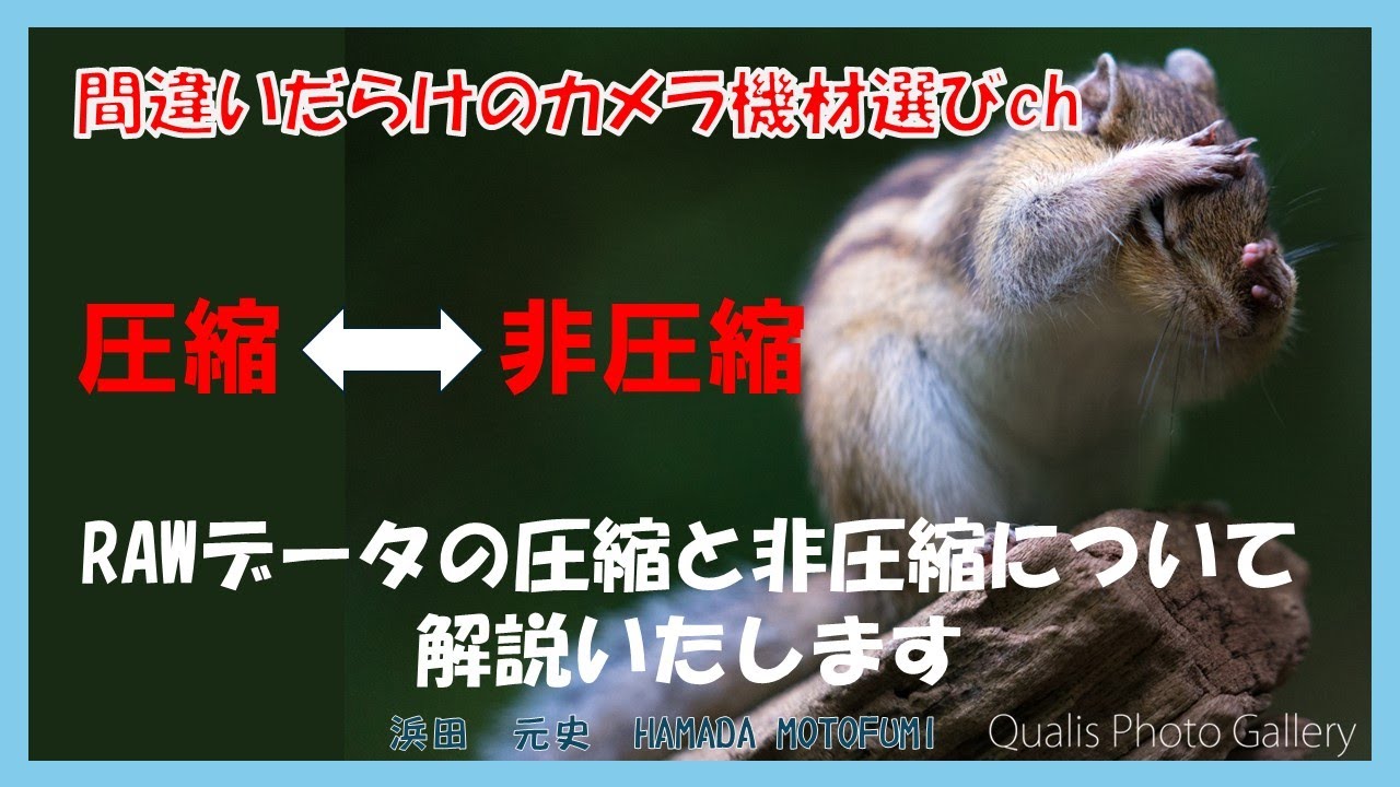 間違いだらけのカメラ機材選びch 「RAWデータの圧縮非圧縮について解説します」