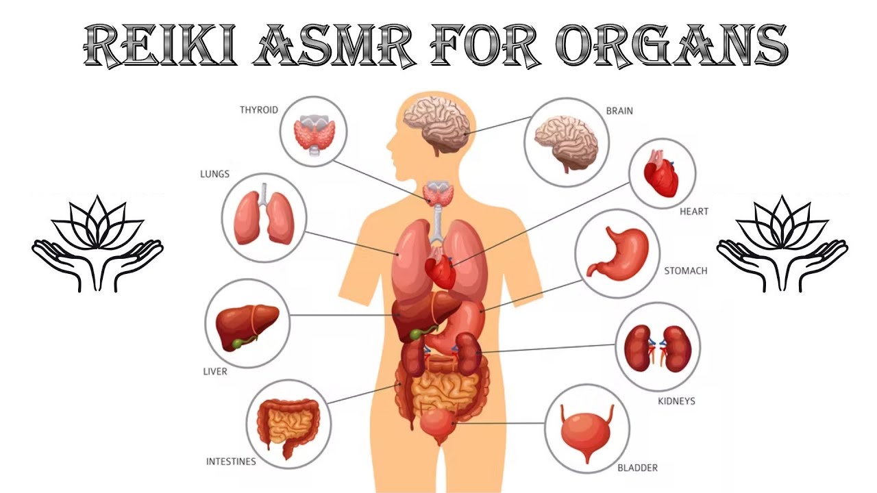 Reiki ASMR Healing for Organs – Guide Meditation for all Organ Imbalances and Disharmonies