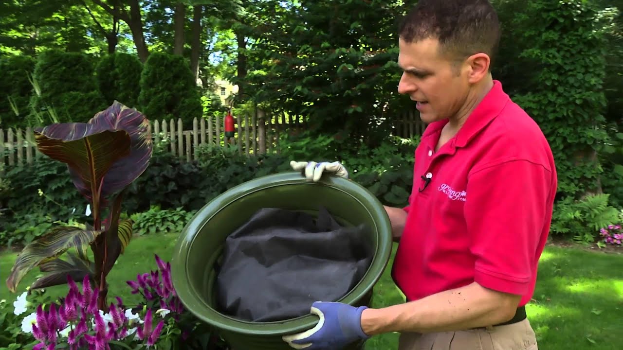 Easy Tips for Growing Plants in Containers