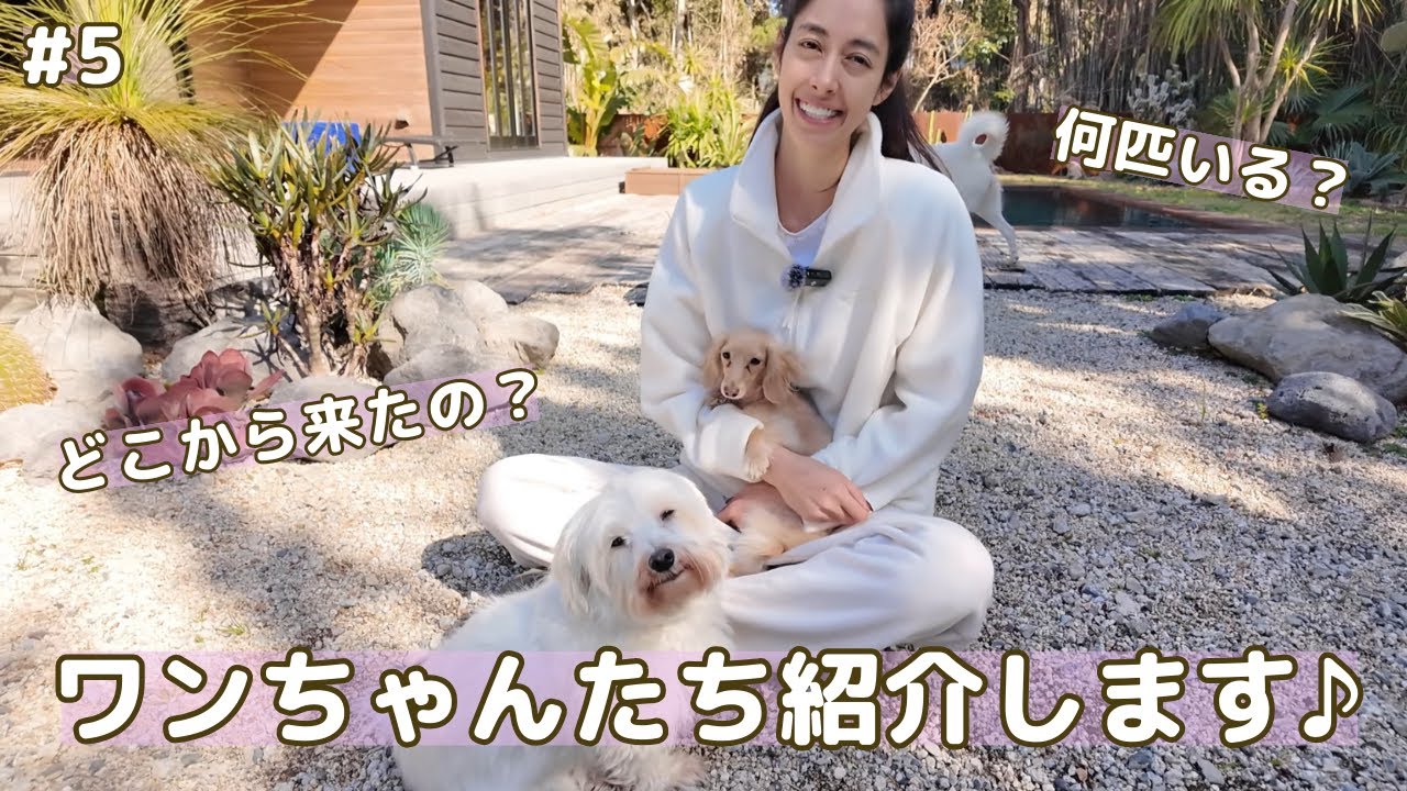 #5  ワンちゃんたち ／ Meet the doggies