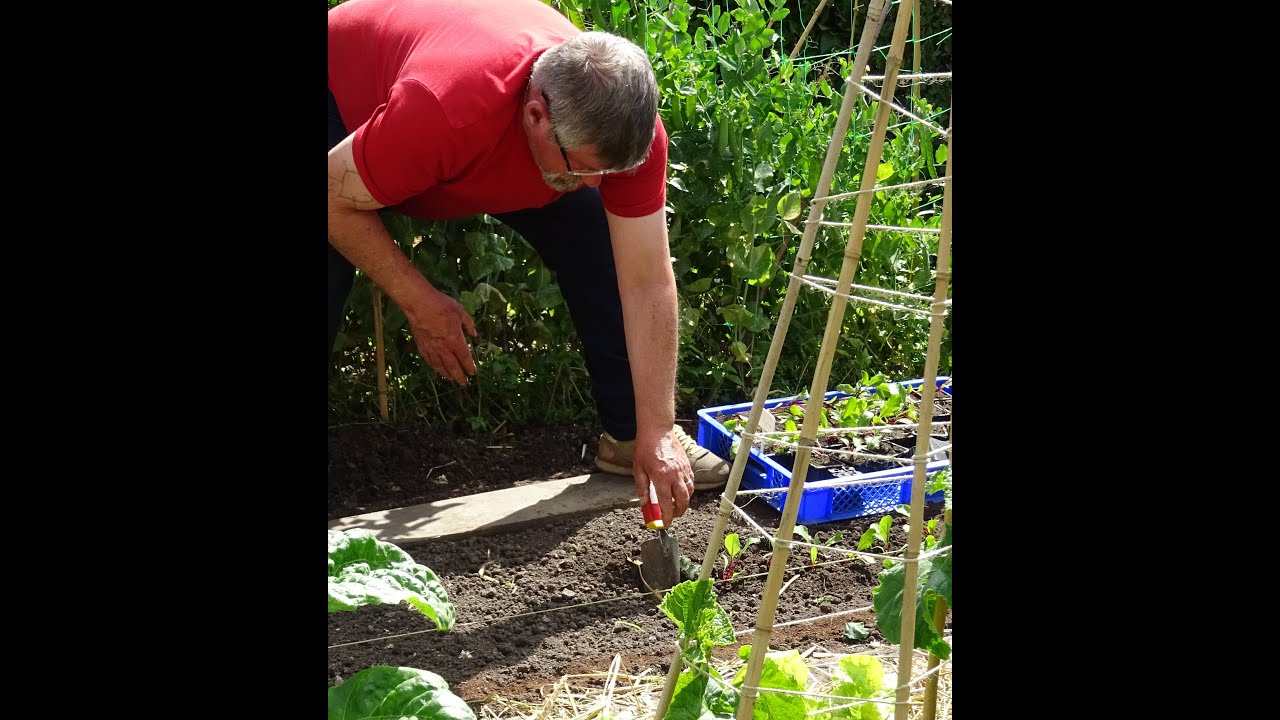 le 28/08/2022: Voir le potager comme notre autrefois