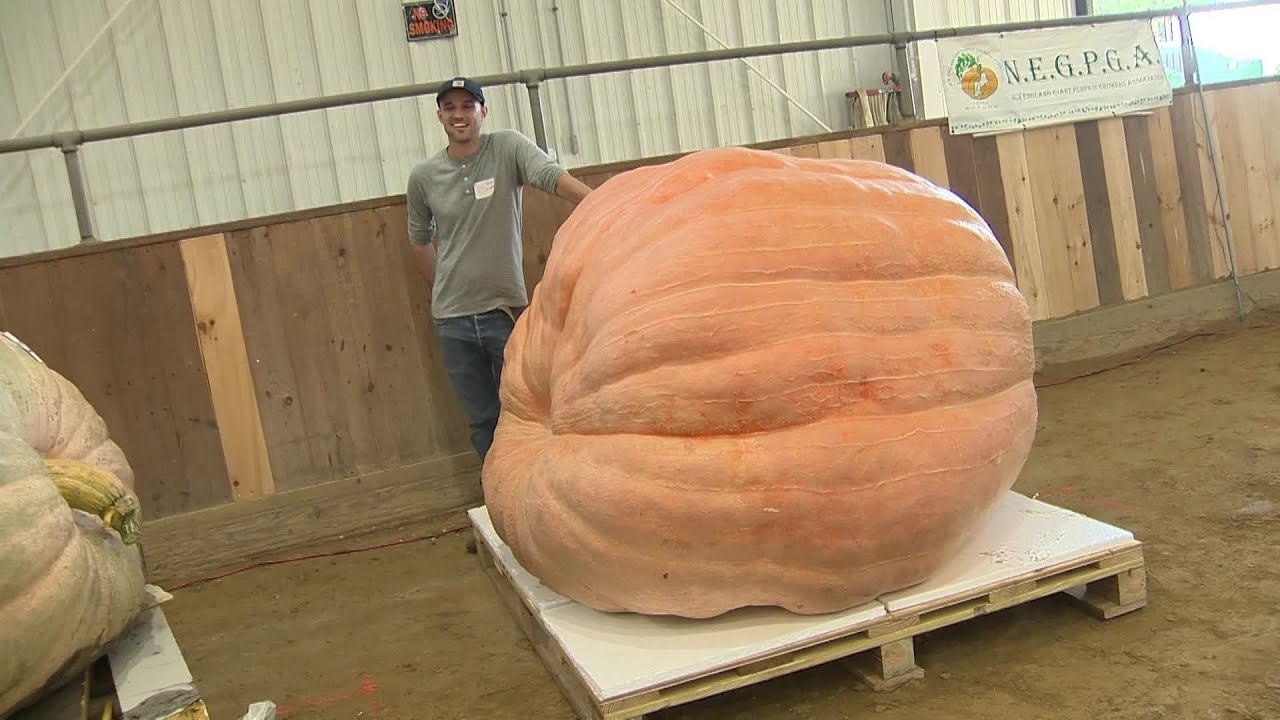 Mass. man breaks Topsfield Fair giant pumpkin record