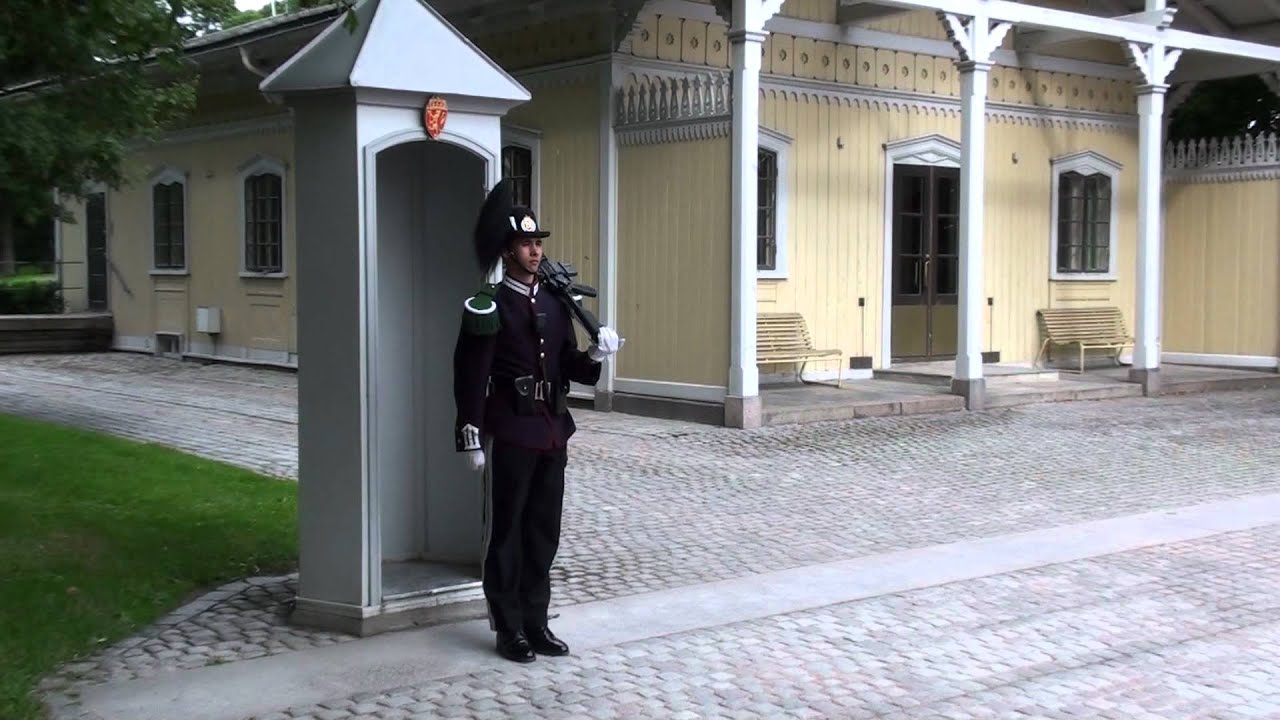 V&aelig;pnede gardister