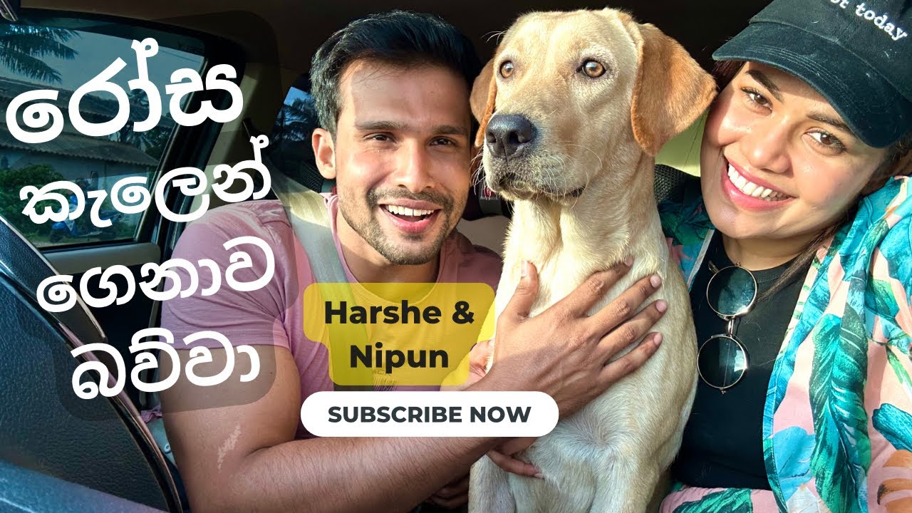 හර්ෂි එක්ක නිපුන්￼ කුකීව එක්කන් බීච් ගියා .✨ #nipunfernando  #harshaneeyudagana #couplegoals