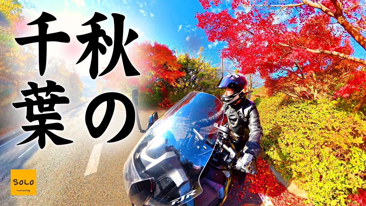 【秋の千葉】もみじロード〜養老渓谷まで秋の千葉を堪能！FLYDAYのアジフライも絶品です！