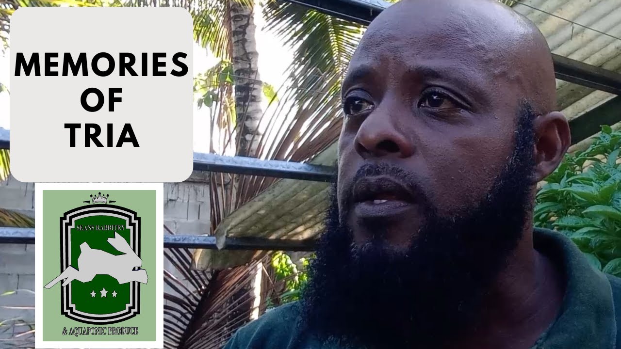 Trinidad Rabbit Farming - Memories Of TRIA