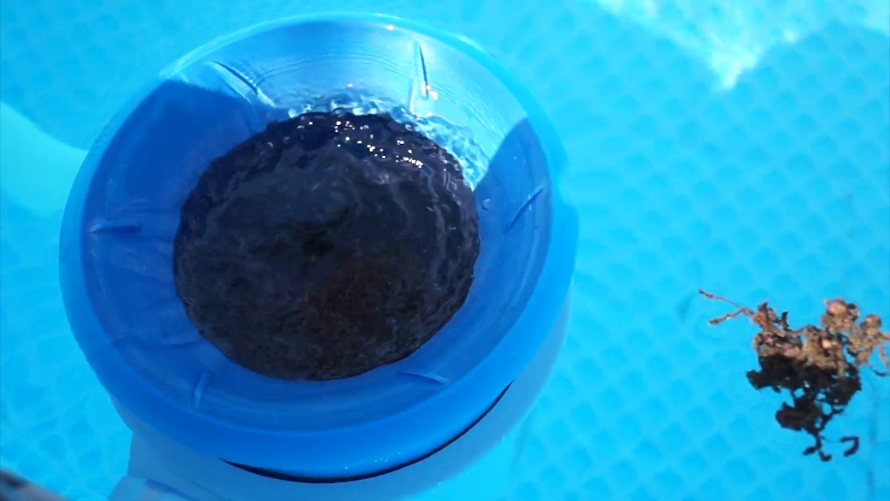 Intex Pool skimmer.