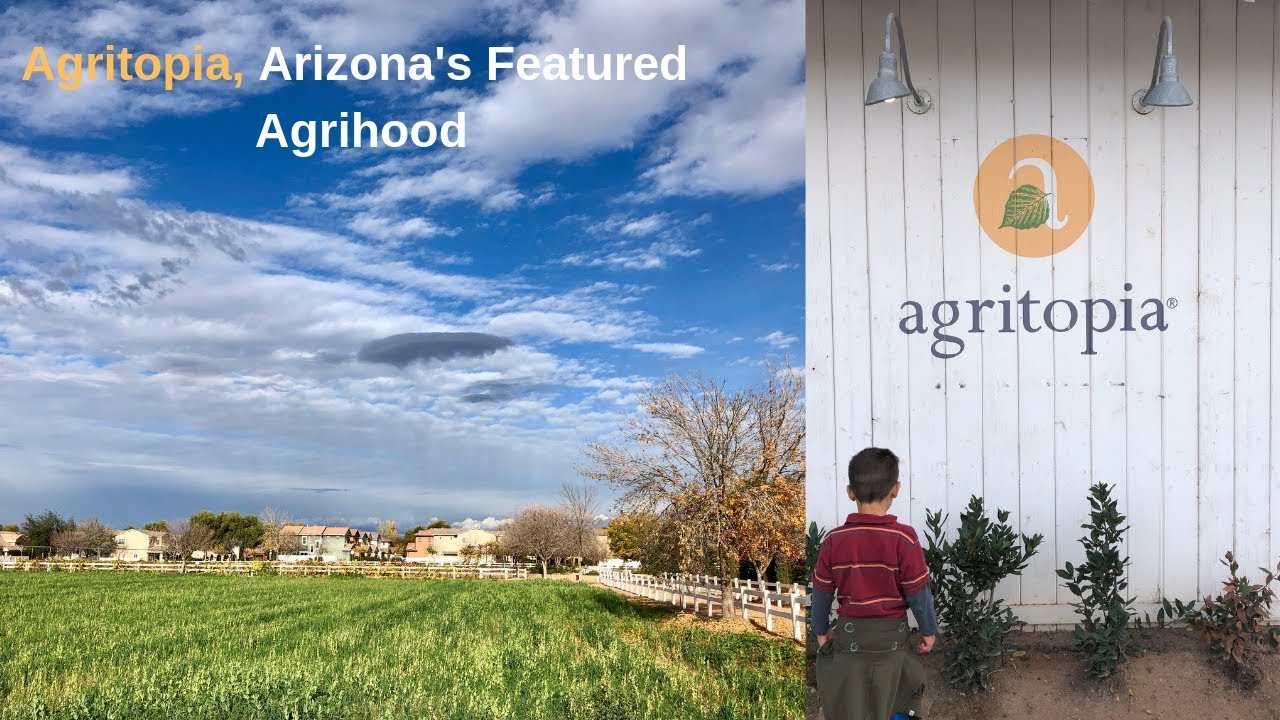 Agritopia an Agrihood in Gilbert, Arizona