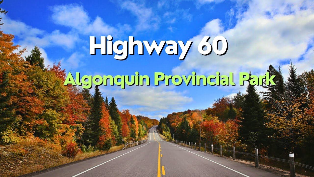 Highway 60, Algonquin provincial Park |Autumn Drive 2024 🍁🍂|best fall colours 🍁🇨🇦