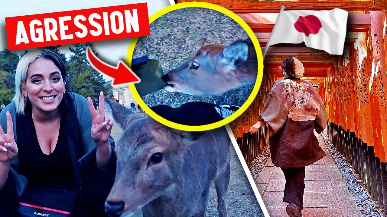 LE JAPON C’EST DANGEREUX ! #SBA8