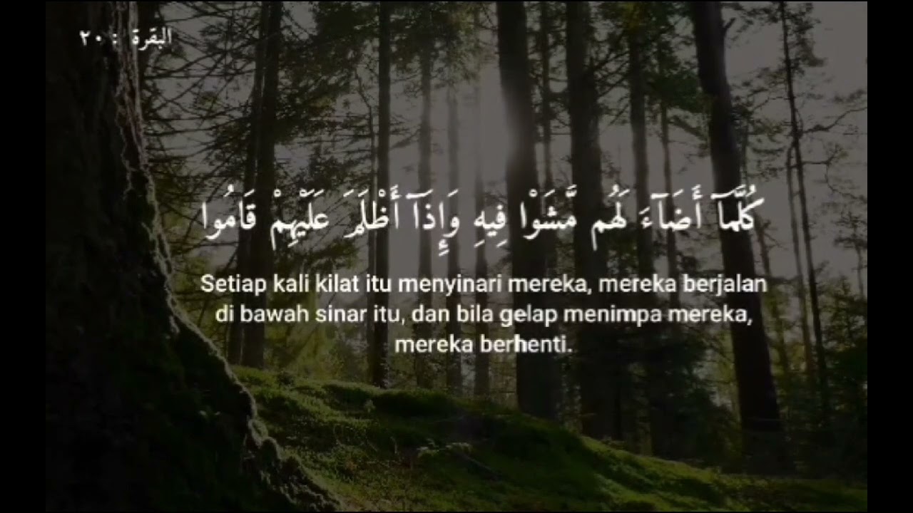 Al Qur'an Surat Al Baqoroh ayat 18 s.d 21 || Ust. Jihad Mubiina Al Hafizd