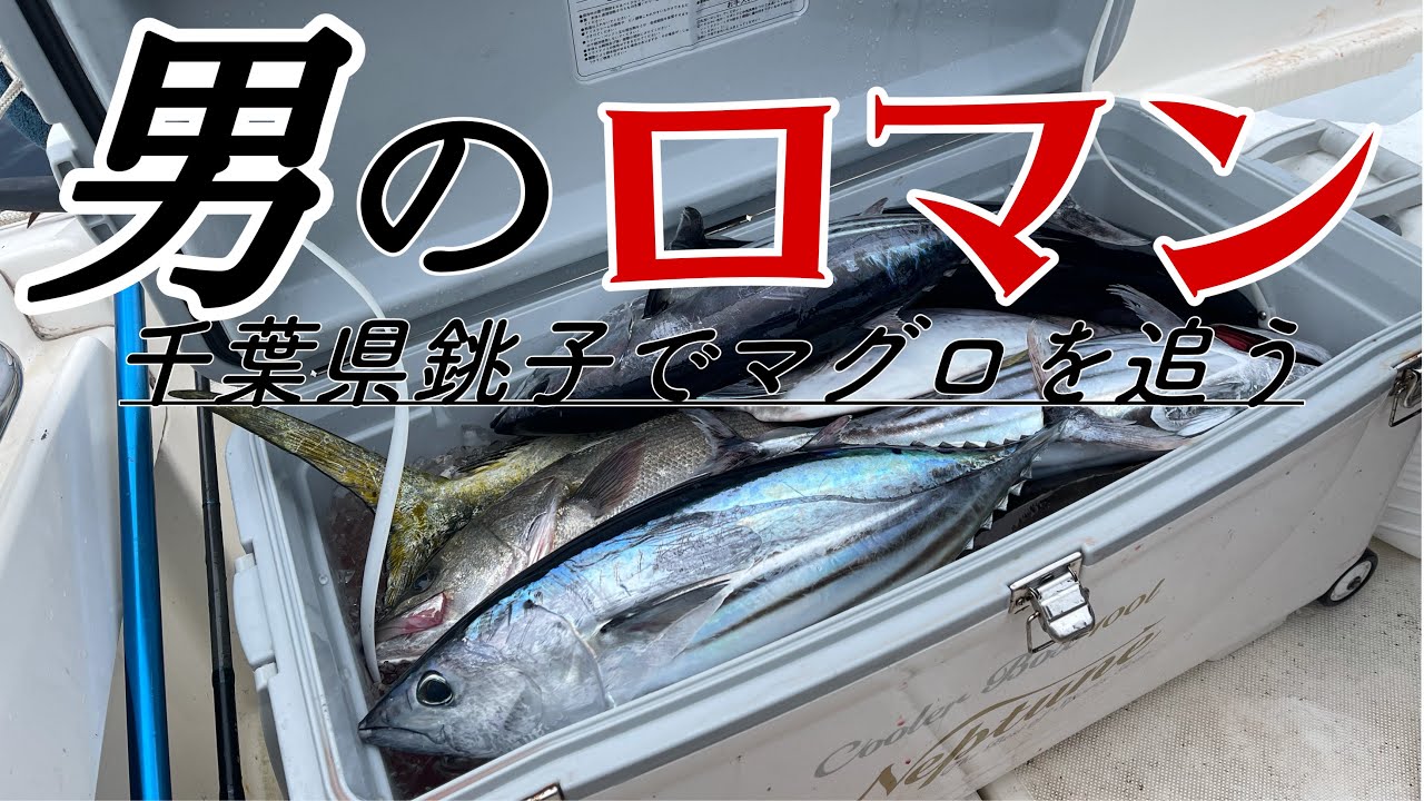 【キハダマグロ】銚子でマグロとカツオがつれるってマジ？釣り大会で優勝