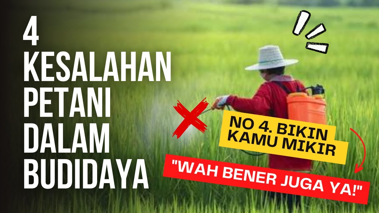 4 KESALAHAN YANG SERING DILAKUKAN PETANI