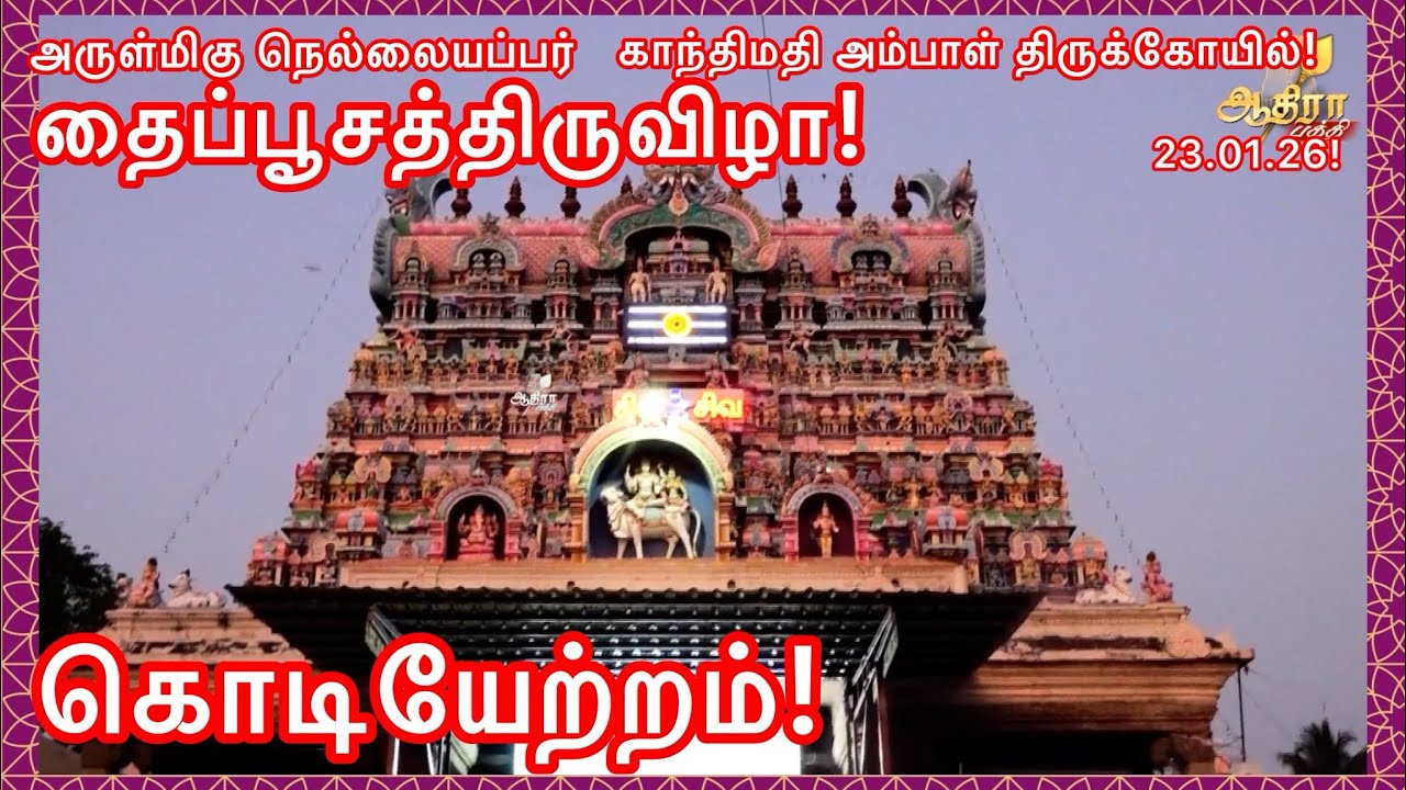 அருள்மிகு நெல்லையப்பர் காந்திமதி அம்பாள் திருக்கோயில் தைப்பூச திருவிழா இன்று காலை கொடியேற்றம்!