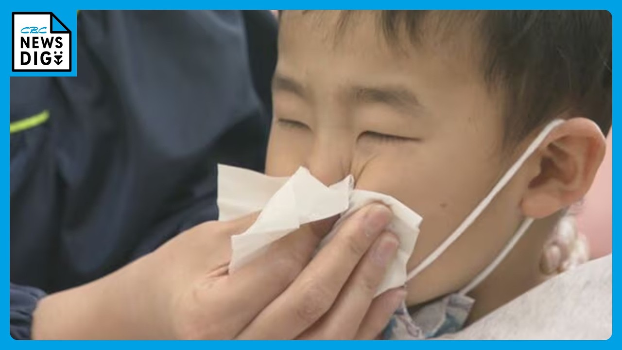 東海地方で花粉大量飛散 3歳の男の子は花粉症が原因で中耳炎にも ｢ことしは乾燥していて“いつもよりイガイガする”という人多い｣