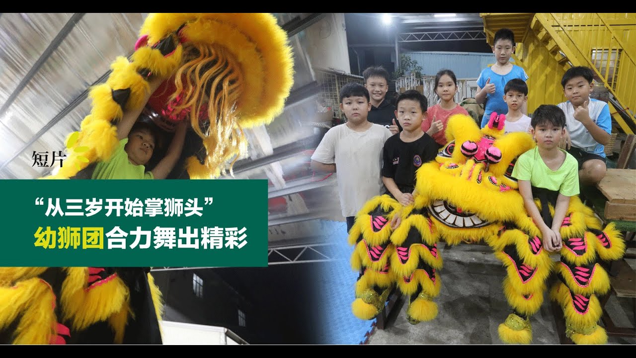 连续四年蝉联冠军🏆!【幼狮队】平均年龄才八九岁，舞狮气势不输大人！甲洞弘德体育会 | #活力副刊