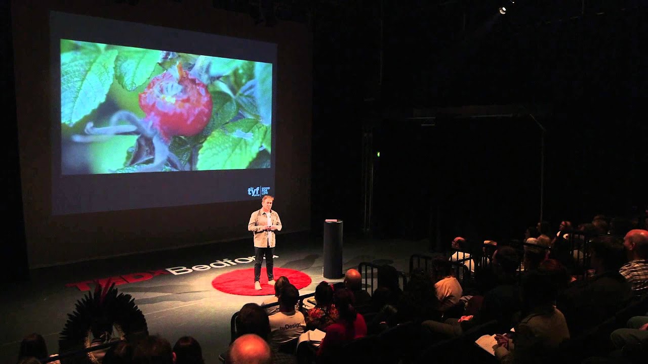 Biomimicry for better design | Andy Middleton | TEDxBedford
