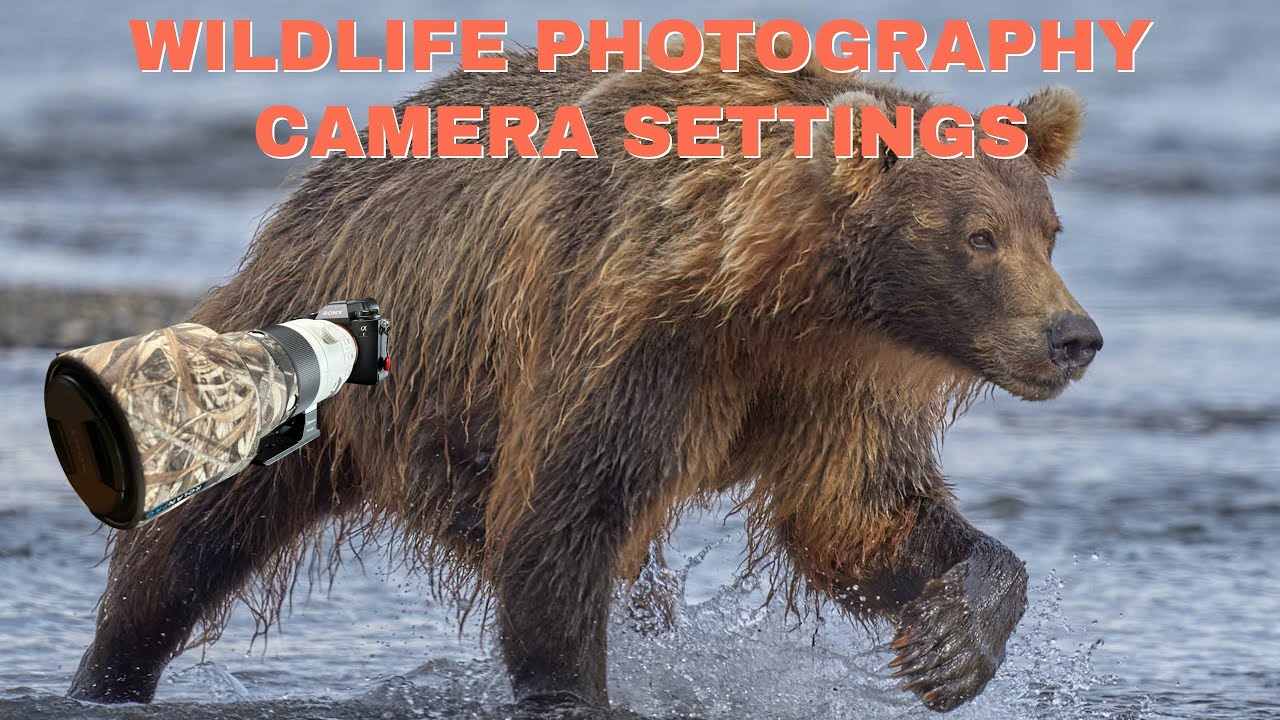 Mastering Wildlife Photography: Essential Camera Settings