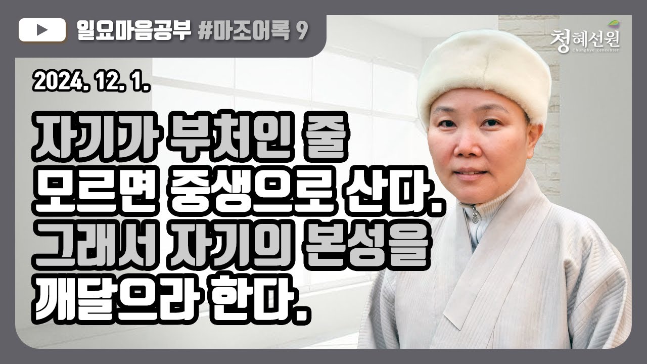 2024.12.01. [청혜선원] 일요공부ㅣ마조어록 제9회  제2부 상당시중 2.삼계는 오직 마음: 