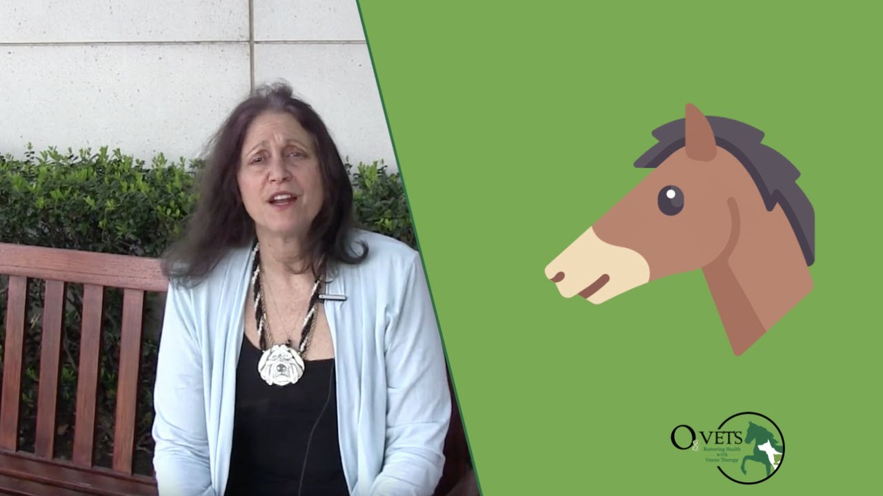 Ozone therapy saved my horse!