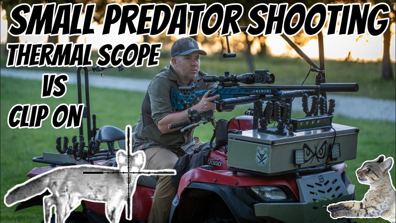 2 Days Hunting & Shooting Foxes, Feral Cats & Pigs || 6BR & 6.5PRC Rifles  || Thermal Optics Testing