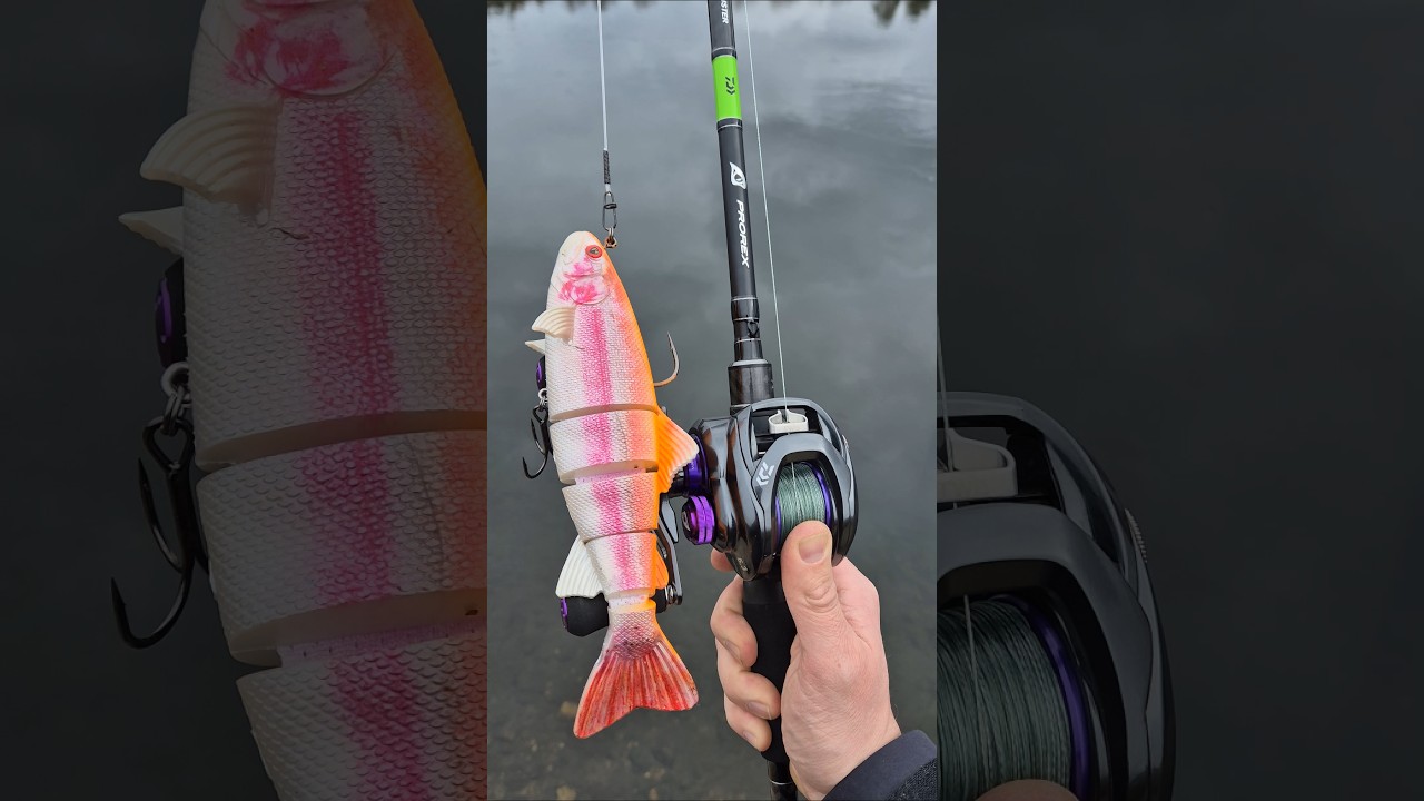 Fox Rage Replicant Realistic Trout 23cm 🎣🐊 #shorts #viral #fishing #foxrage #trout #lures #pike