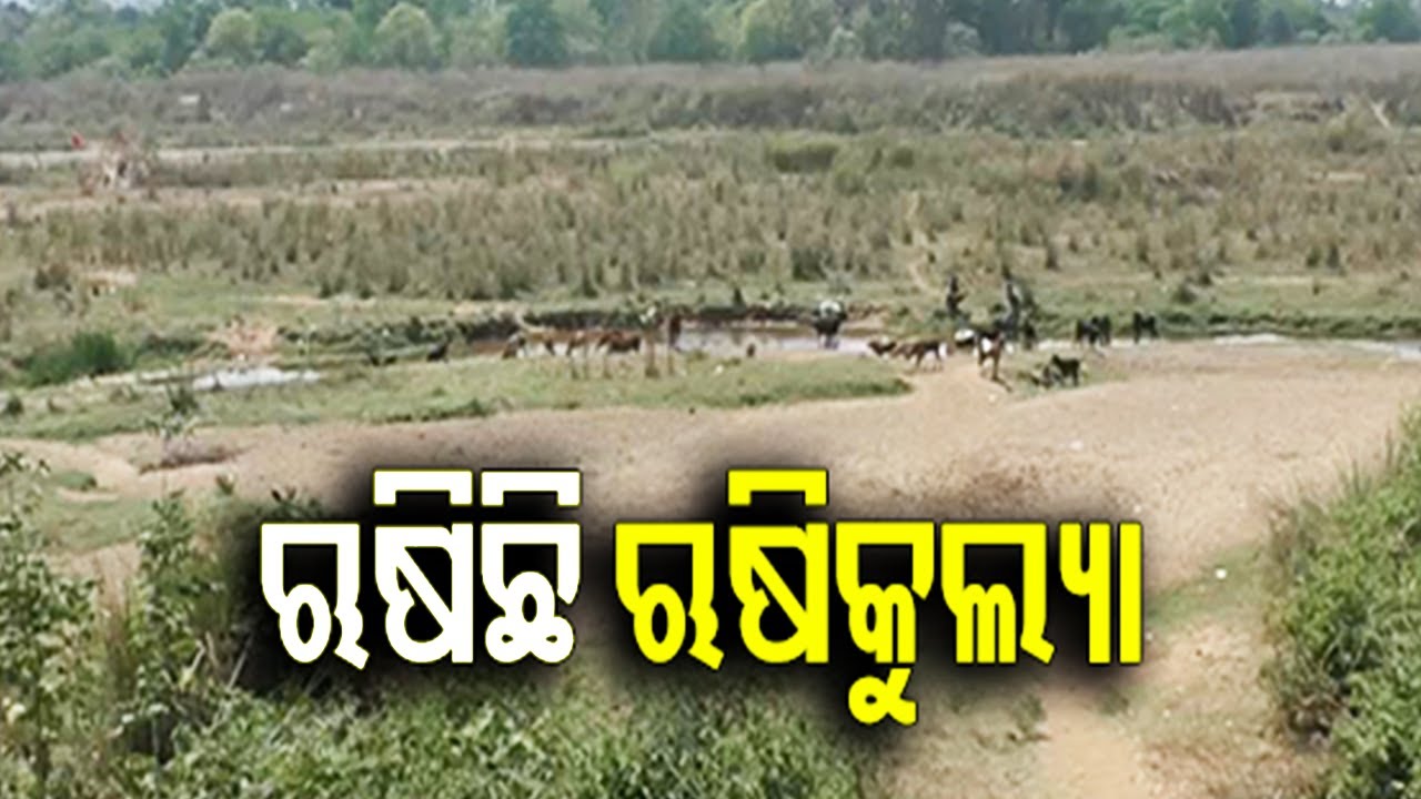 Reporter Special: Water crisis at Surada in Odisha's Ganjam district as Rushikulya river dries up