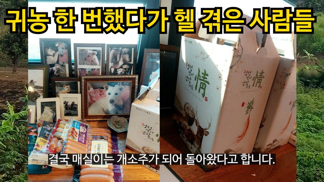 귀농 한 번 잘못 했다가 헬모드 겪은 사람들