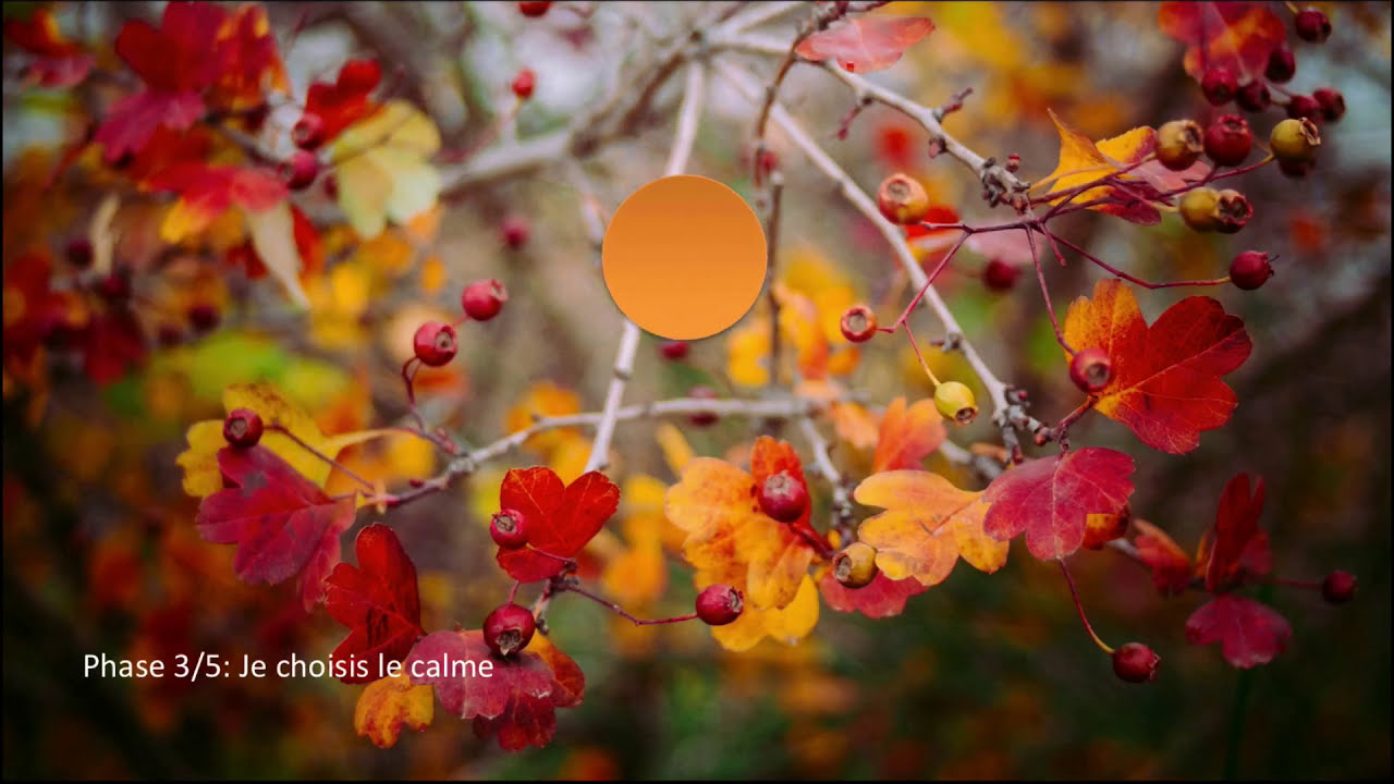 Coherence cardiaque: automne
