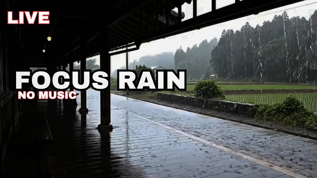 🔴live rain for sleep: rural station • no music