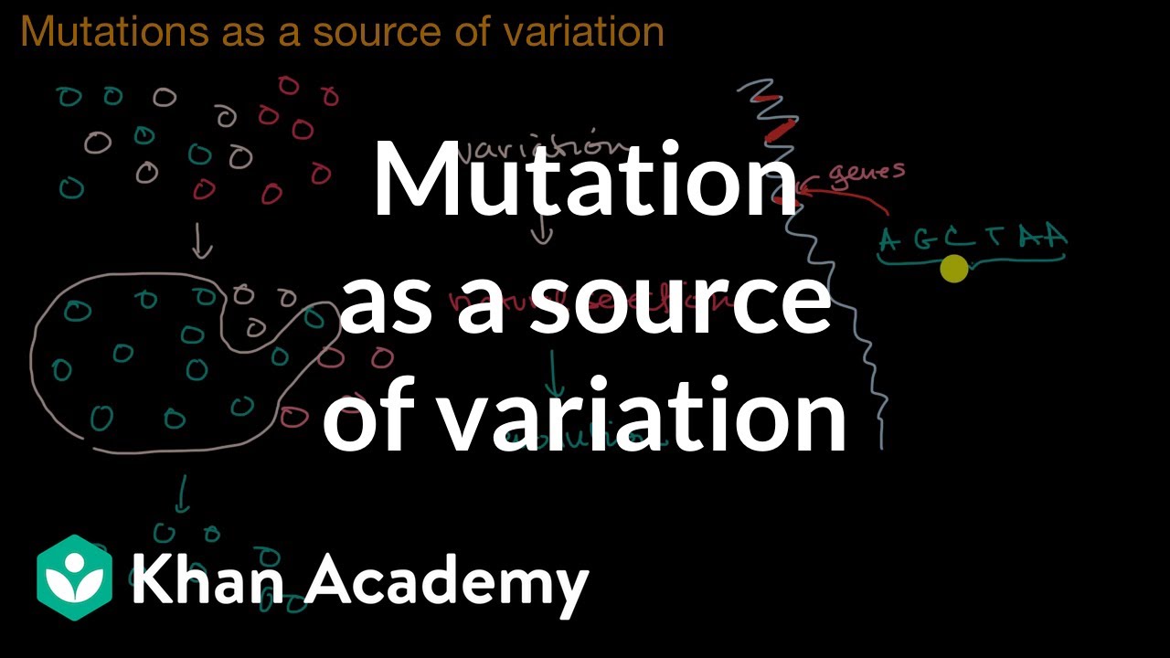 Mutation as a source of variation | Gene expression and regulation | AP Biology | Khan Academy