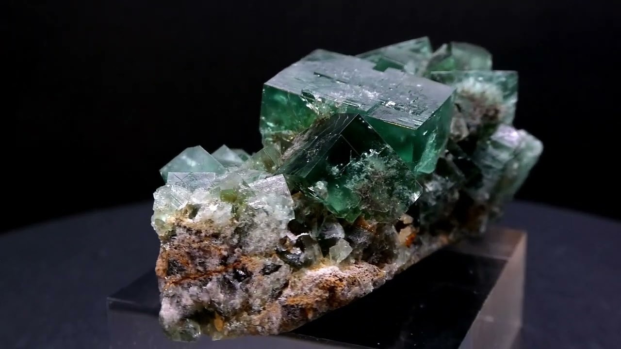 FLUORITE GREEDY HOG POCKET