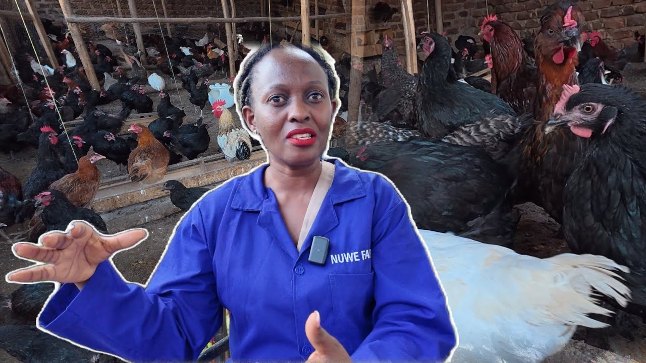 How This UGANDAN Woman Profited From Poultry Before Owning a Single Chicken!