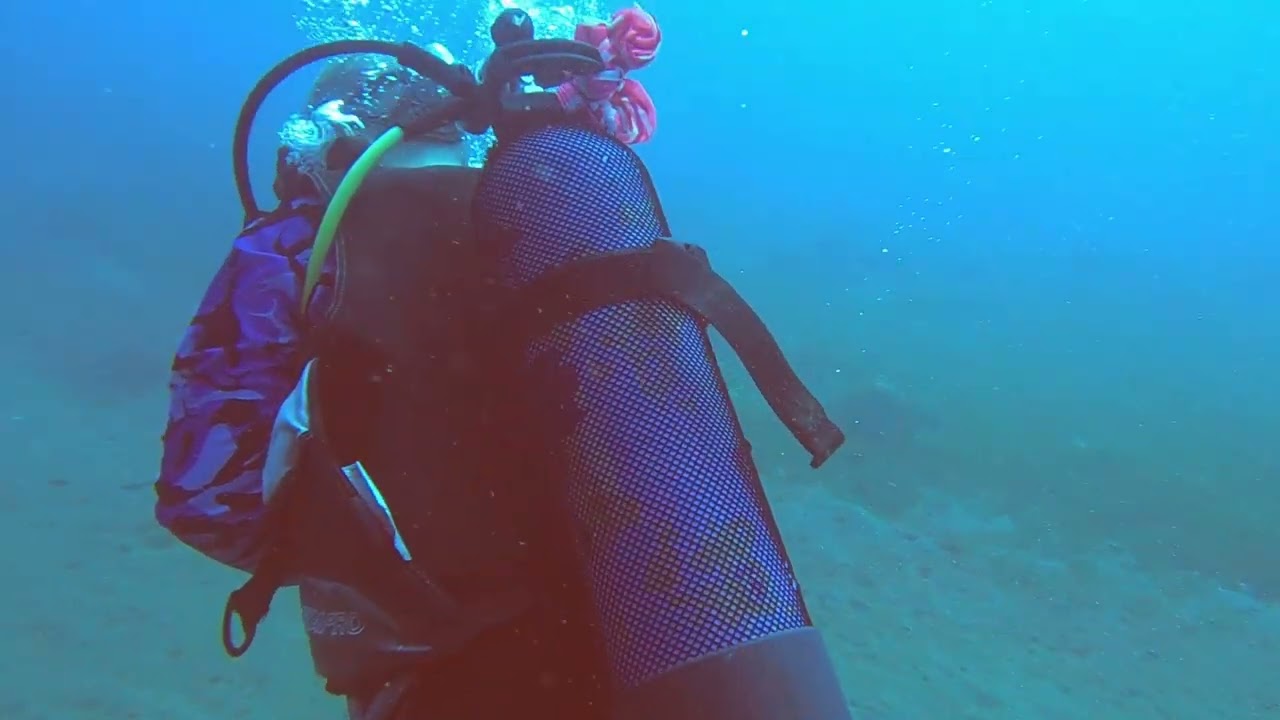 plongée épave du Franjack Guadeloupe