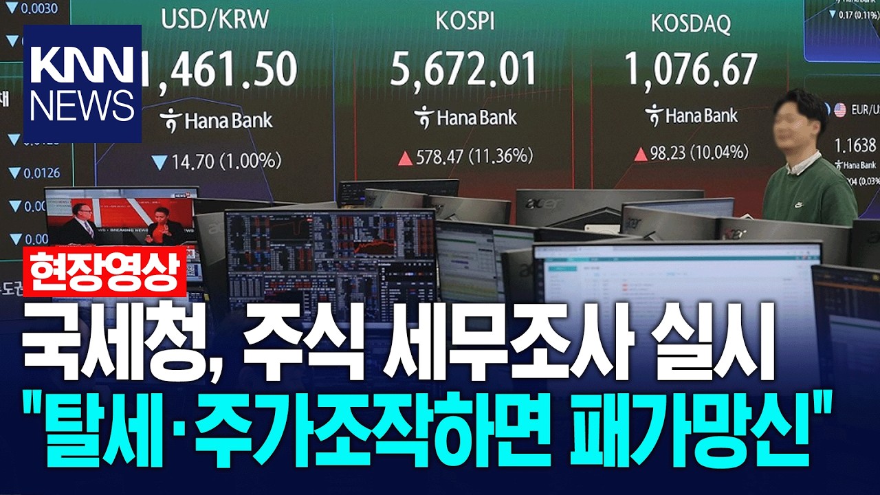 국세청, 주식 세무조사 실시 